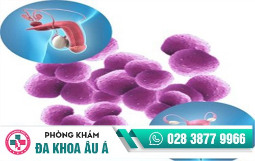 hình ảnh bệnh lậu ở nam giới