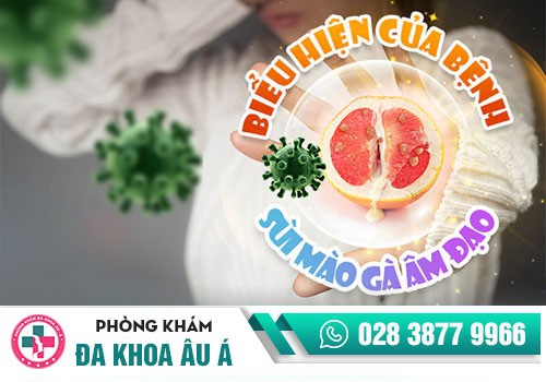 Hình ảnh sùi mào gà ở âm đạo