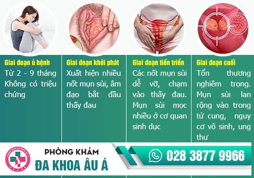 Các giai đoạn phát triển của sùi mào gà