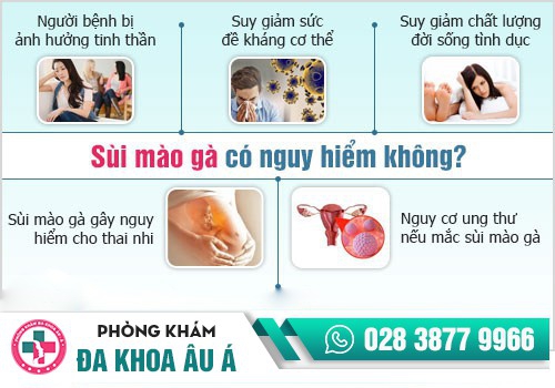 Bệnh sùi mào gà có trị được không?